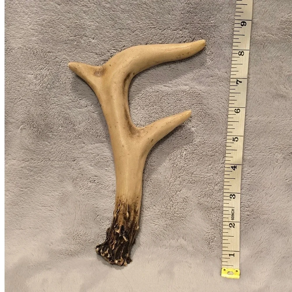 Faux Antler Letter F Wall Decor Rustic‎ Cabin Lodge Resin Horn Accent 7.75 Inch
